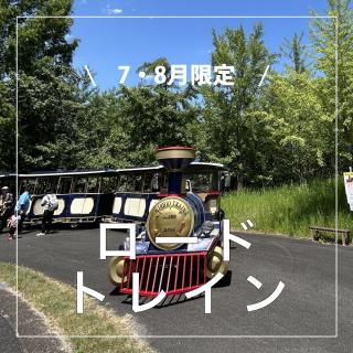 7・8月限定 【ロードトレイン運行】 公園内を走行している「ロードトレイン」 7・8月限定で、備北オートビレッジへの往復運行します。 運行日 ・7月、8月の土・日・祝日及びお盆期間 お盆（8月12日〜15日） 片道 / 100円（3歳未満無料） （備北オートビレッジ　⇔　中の広場） 備北オートビレッジ宿泊の 予約はネットから ▶︎ @bihoku_autovillage 2泊以上の予約を行ってください。 1泊づつ、別々に予約された場合は対象外となります。 +‥‥‥‥‥‥‥‥‥‥‥‥‥‥‥‥‥‥+ 中国地方からのアクセス抜群、 広島・庄原ICから5分のキャンプ場 中国地方初！５つ星のキャンプ場 【備北オートビレッジ】 他の投稿もチェックしてみて下さい🔍 ▶︎ @bihoku_autovillage 皆様からのフォロー、いいね、コメント待ってます！ +‥‥‥‥‥‥‥‥‥‥‥‥‥‥‥‥‥‥+ #広島キャンプ #広島キャンプ場 #備北丘陵公園 #備北オートビレッジ #ロードトレイン #夏キャンプ