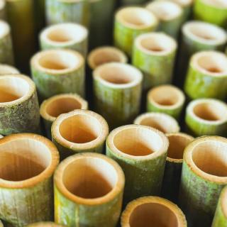 【竹の遊具づくり】で使うパーツを準備しています。 園内の竹林から竹を切り出してカットし、 面取りを行い洗った後、穴あけ... また押し棒の先に巻くサラシも10mの物を 採寸して、一枚ずつ、里山屋敷で切っています✂️ 準備段階から手間と時間がかかりますが、 丁寧に段取りをしていきます🎋 #ひばの里#国営備北丘陵公園#備北丘陵公園#備北夏まつり#竹の遊具作り#竹工作#水鉄砲