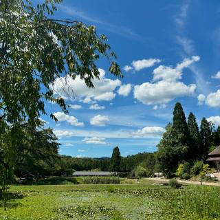 毎日暑い日が続いています☀️ ひばの里では、ここでしか見られない風景を楽しんでいただけます😌 どこか懐かしさを感じる〝ひばの里〟 水分補給をしながら、ゆっくり散策してみてください🚶🚶‍♀️ It's been a hot day every day. [ At Hiba no Sato], you can enjoy the scenery that can only be seen here. Please take a leisurely walk in this area where you feel somewhat nostalgic.🚶🎶🚶‍♀️✨ #ひばの里#国営備北丘陵公園#備北丘陵公園 #日本の夏#蚊帳#備北夏まつり#ぼくのなつやすみ#苔テラリウム草刈り#野菜収穫#はぶ草茶#庭園#田舎#里帰り#夏休み#梅干し#年1#体験#プレゼント#summertime #ノスタルジック #japón #Switzerland #japan #japan_vacations #japanlife #instagramjapan #instajapan #japantrip #ilovejapan