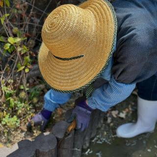 平日のお仕事🔍 里山屋敷では広大な敷地の管理をスタッフ数名で、全て手作業の除草をしています🌱 庭園内はもちろん 裏庭・中庭・つき山・溝の中・建物前水路や、プランター内に至るまで... 終わったと思えばまた別の場所から🌱🌱🌱😳😳💦 庄屋さんをモデルにした1000坪の敷地を楽しんで頂ける様に暑い中🫠勤しんでます💪 Several staff members keep the vast 1000 tsubo site clean by weeding every day on weekdays. We work hard every day so that everyone can enjoy it in the hot weather.😊 #ひばの里#国営備北丘陵公園#備北丘陵公園 #日本の夏#蚊帳#備北夏まつり#ぼくのなつやすみ#苔テラリウム草刈り#野菜収穫#はぶ草茶#庭園#田舎#里帰り#夏休み#蕎麦打ち#手打ちそば#soba#summertime #summervibes #japón #Switzerland #japan #japan_vacations #japanlife #instagramjapan #instajapan #japantrip #ilovejapan