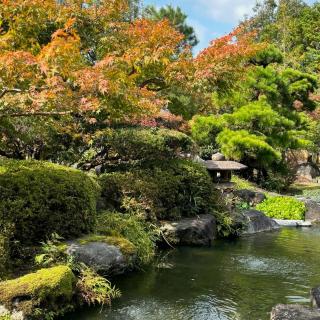 こんにちは😊 ひばの里の庭園の中も紅葉🍁して 色のコントラストが綺麗です🍂 今週末は、 🌟手打ち蕎麦づくり 🌟わら細工体験 🌟草木染め教室 など、イベントもございますので是非、ご参加ください☺️ Hello😊 Autumn leaves 🍁 in the garden of Hiba no Sato The color contrast is beautiful🍂 This weekend, 🌟Making handmade soba noodles 🌟Straw work experience 🌟Get dyeing class There are also events, so please join us☺️ #ひばの里#国営備北丘陵公園#備北丘陵公園 #11月#わら細工#たたら#現代刀匠#古民家#庄屋#昭和#レトロ#イルミネーション#和紙灯り#草木染め#手打ちそばづくり #japon #Switzerland #japan#japan_vacations #japanlife #instagramjapan#instajapan #japantrip #ilovejapan🇯🇵❤️