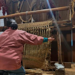 こんにちは🙂‍↕️ 本日、ひばの里では 下の農家にて「むしろ機織り体験」、 上の農家にて「こんにゃく作り体験」を開催しております。 むしろ機織り体験では、ひばの里の田んぼで収穫した藁を使い、むしろばたを使用して、機織りのように藁を編んでいきます。昔ながらの古民具に触れながら体験できる、珍しい体験です✨ また、地元産のこんにゃく芋を使用したこんにゃく作り体験では、ぷるんとした食感とのど越しの良いこんにゃくを、ご自身の手でお作りいただけます🤲 ぜひこの機会にご参加ください😌 引き続き〝冬咲きぼたん展〟もお楽しみください💓 📢なお、明日2月8日（日）は大雪が☃️予想されるため、休園とさせていただきます。あらかじめご了承ください🙇‍♀️ #むしろばた#むしろ機織り#こんにゃく#蒟蒻#冬咲きぼたん#牡丹