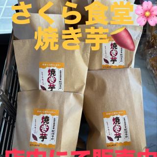 yumesakura2002 image 1