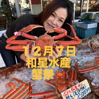 yumesakura2002 image 4